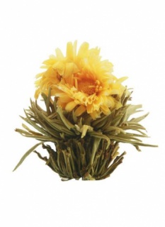 Kvetoucí čaj - Slunovrat