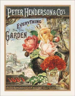 Americká cedule - Henderson - For the Garden