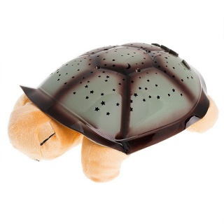 Noční želvička - Hnědá