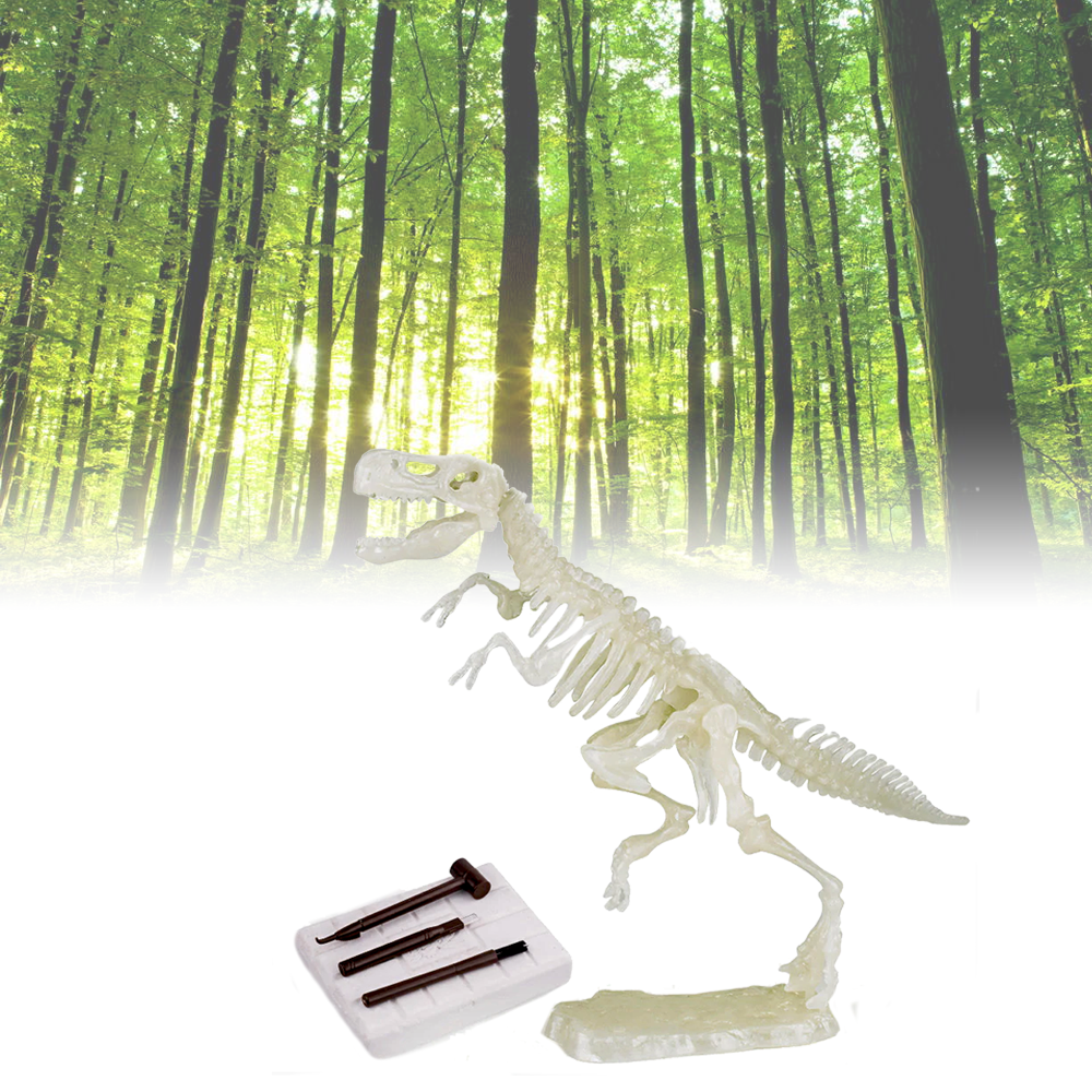 Sada pro malé archeology – Tyranosaurus Rex