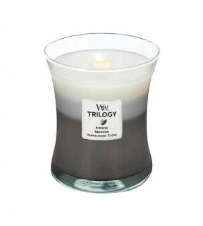 WoodWick Warm Woods vonná svíčka s dřevěným knotem 275 g