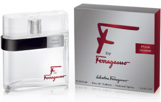 Salvatore Ferragamo F by Ferragamo Pour Homme toaletní voda pro muže 100 ml