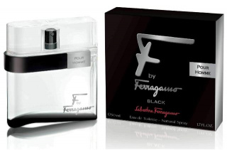 Salvatore Ferragamo F by Ferragamo Black toaletní voda pro muže 100 ml