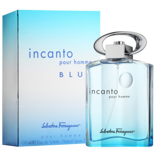 Salvatore Ferragamo Incanto Blue Pour Homme toaletní voda pro muže 100 ml