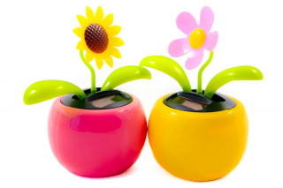 Solární květina - velká