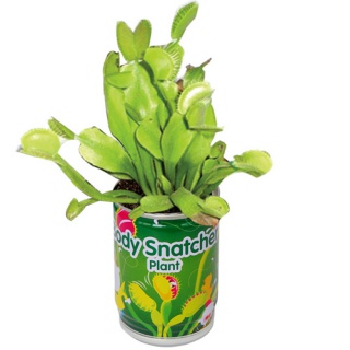 Masožravka - žravá rostlina