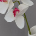 Umělé květiny orchidej - bílá