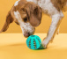 Žvýkací míček pro psy
