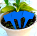 Štítky k rostlinám - modrá